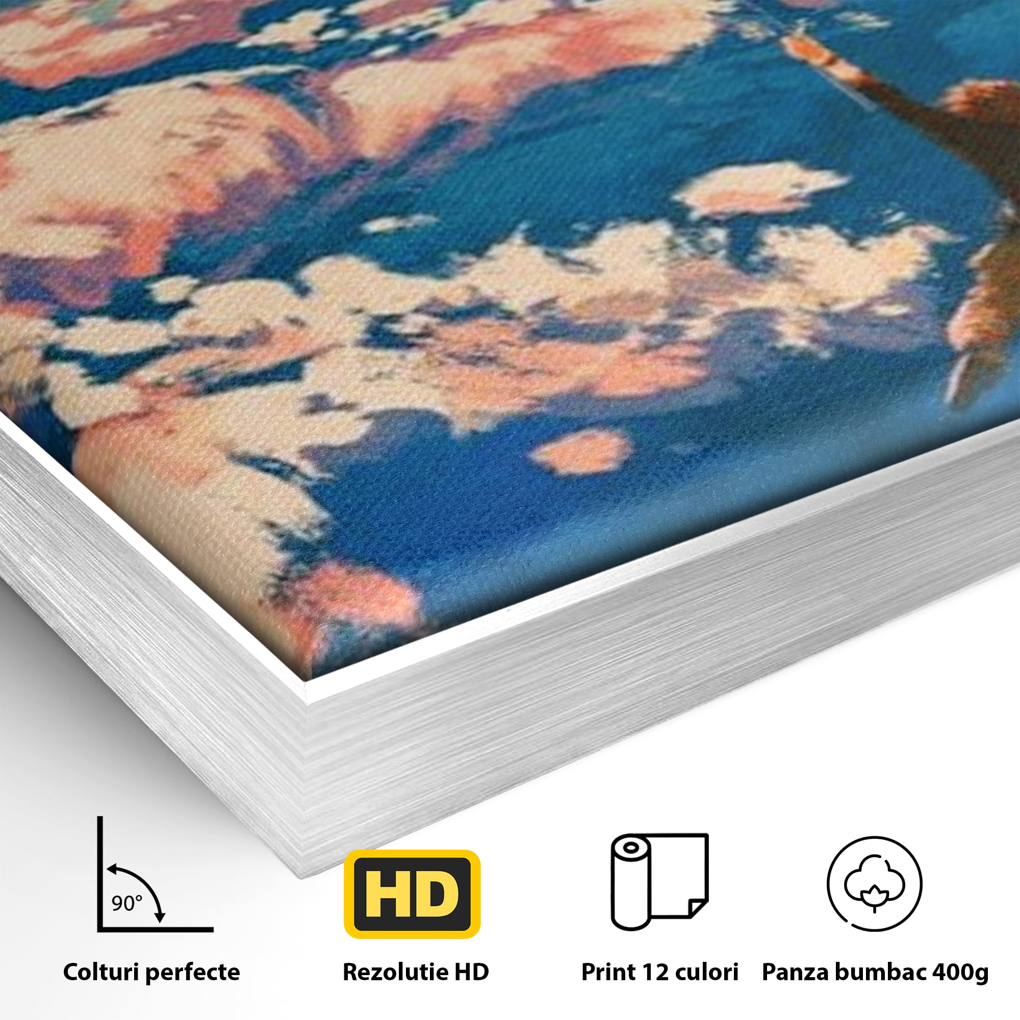 Detaliu al suprafetei: tablou canvas cu om zburand cu baloane, in rama de aluminiu argintiu